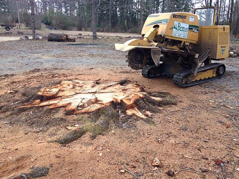 Stump Grinding and Removal Services in Bryant, AR by Stump Busters