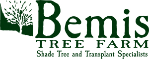 Bemis Tree Farm logo with a tree graphic and text: Shade Tree and Transplant Specialists.