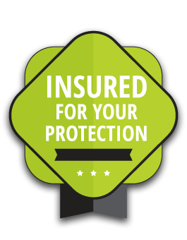 Insured for your protection badge