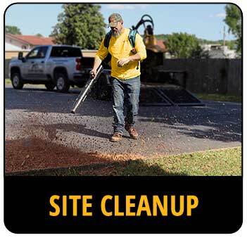Call-to-action image for site cleanup