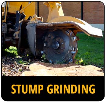 Call-to-action image for stump grinding