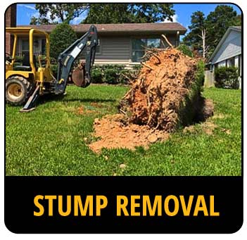 Call-to-action image for stump removal